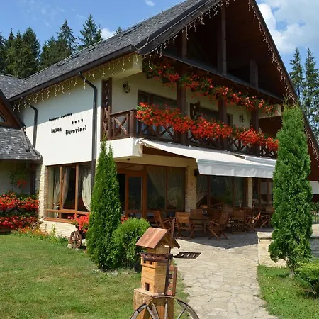 Vendégház Pensiunea Inima Bucovinei 4*